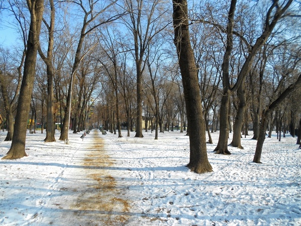 moldova park winter
