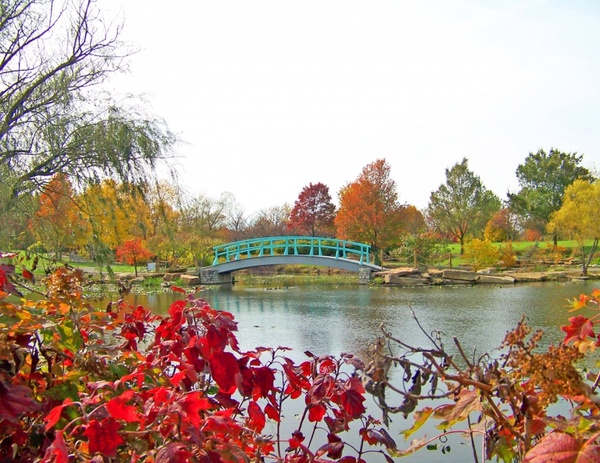 monet bridge in park in autumn
