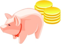 Money Pig 1