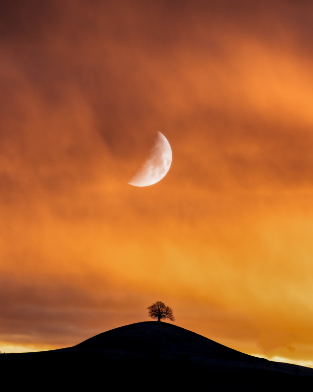 moon scene picture dark twilight silhouette 