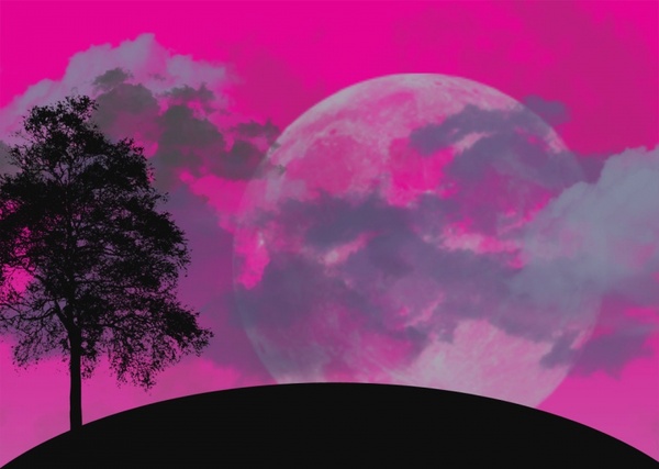 moon tree landscape