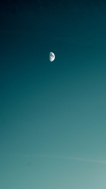 moonlight sky picture elegant realistic