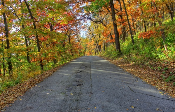 more autumn roadways at perrot state park wisconsin