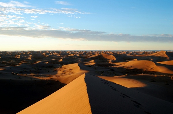 morocco africa desert