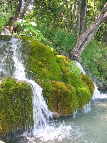moss bach waterfall