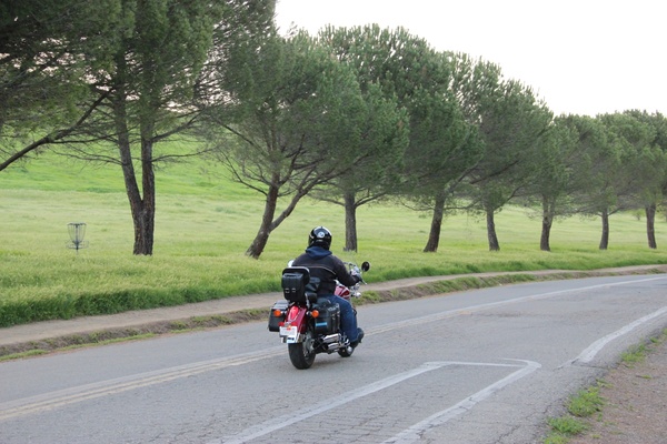 motorcyclist on road lined with trees