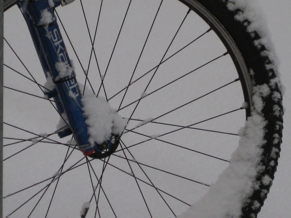 mountain bike wheel mature