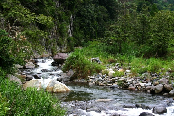 mountain stream 2