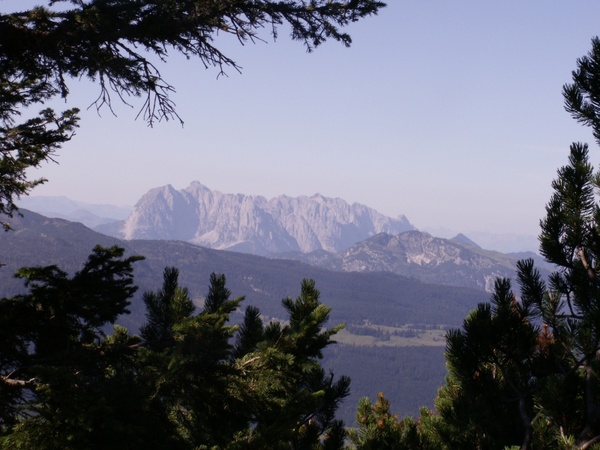 mountains panorama trees