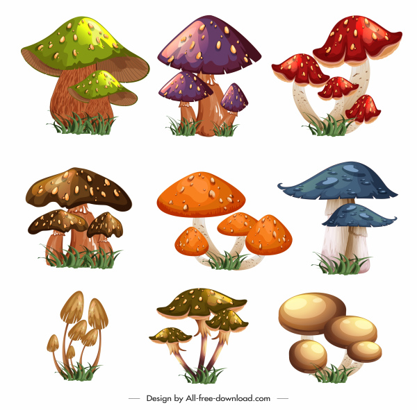 mushroom icons colorful modern sketch