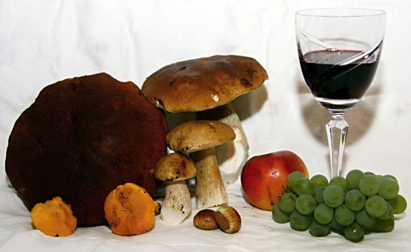 mushrooms apple and wine