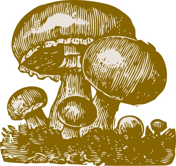 Mushrooms clip art