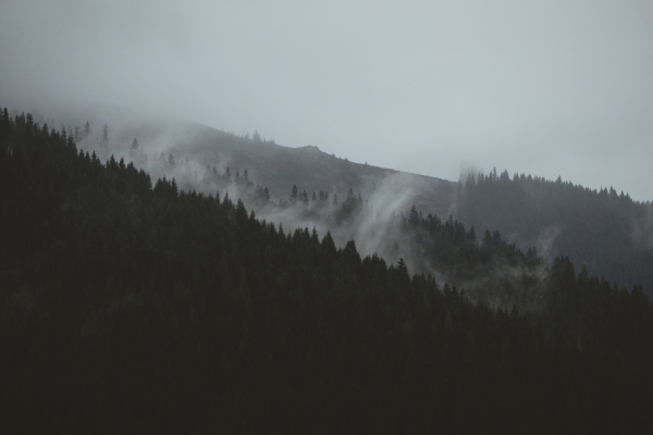 Cold fog on high mountain at dusk Free stock photos in jpg format for ...