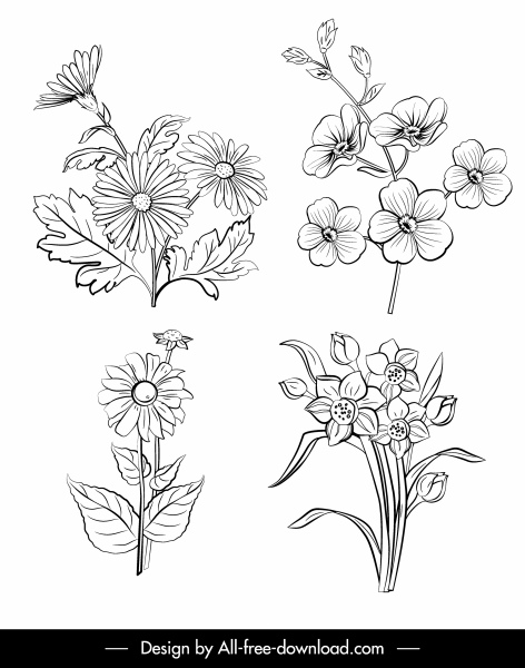 natural flowers icons black white handdrawn outline