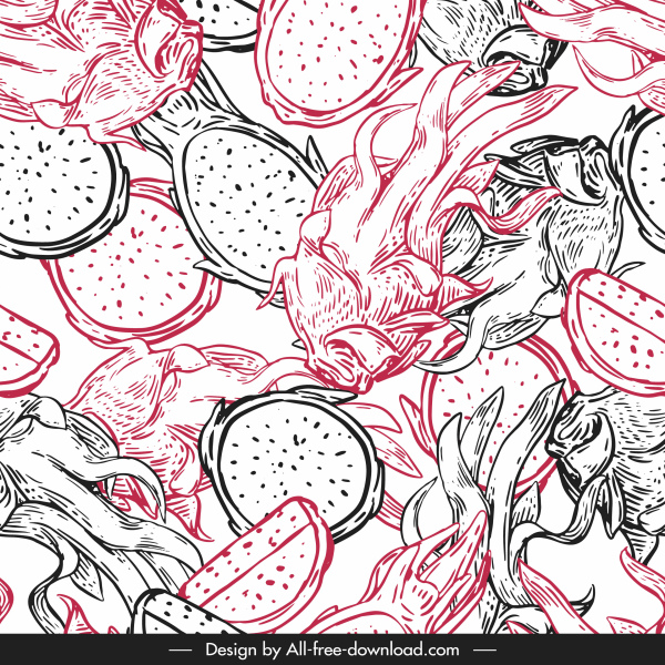 natural food pattern dragon fruit sketch classic handdrawn