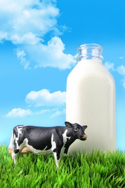natural good milk 01 hd picture