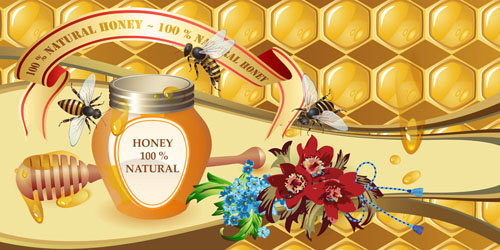 natural honey creative poster vecor