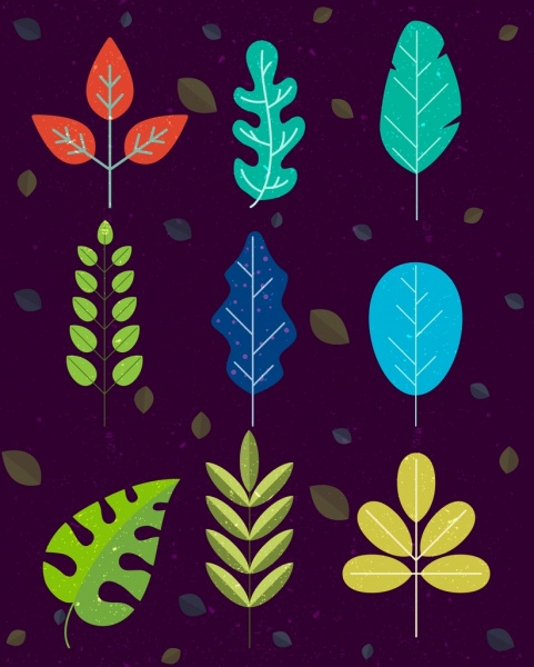 natural leaves background colored icons decor