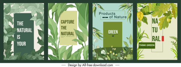 nature background templates classical green leaves sketch 
