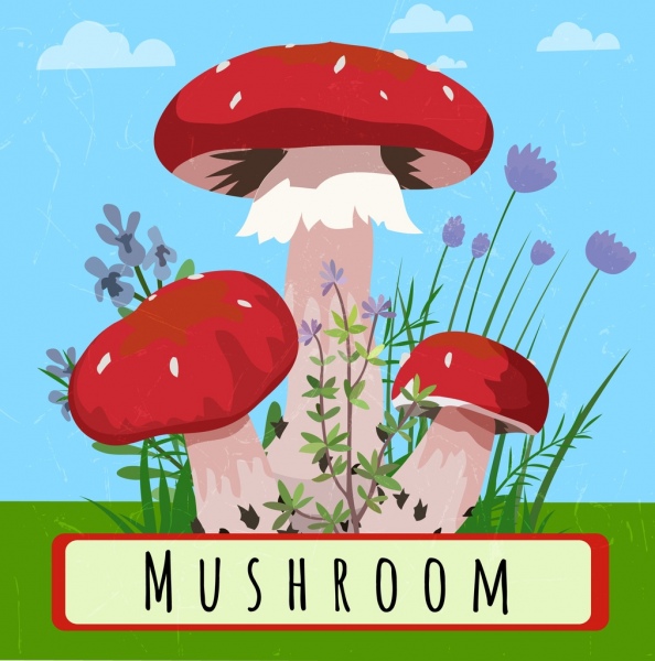 nature drawing mushroom icons multicolored design