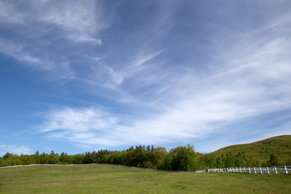 nature landscape sky clouds trees field grass