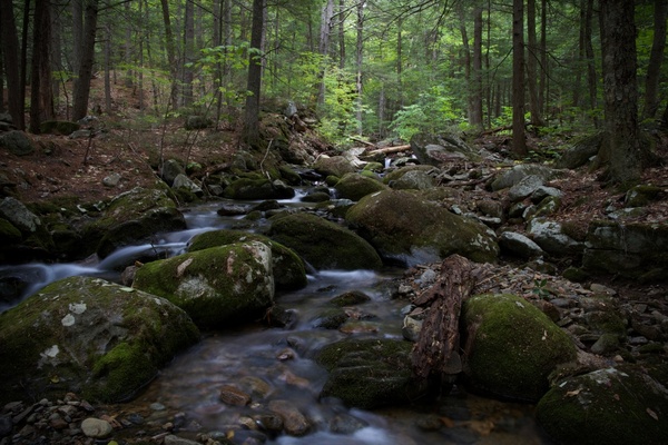 nature landscape stream water