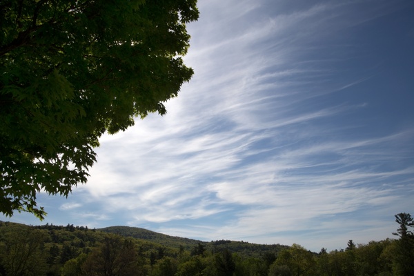 nature landscape trees leaves sky clouds mountains
