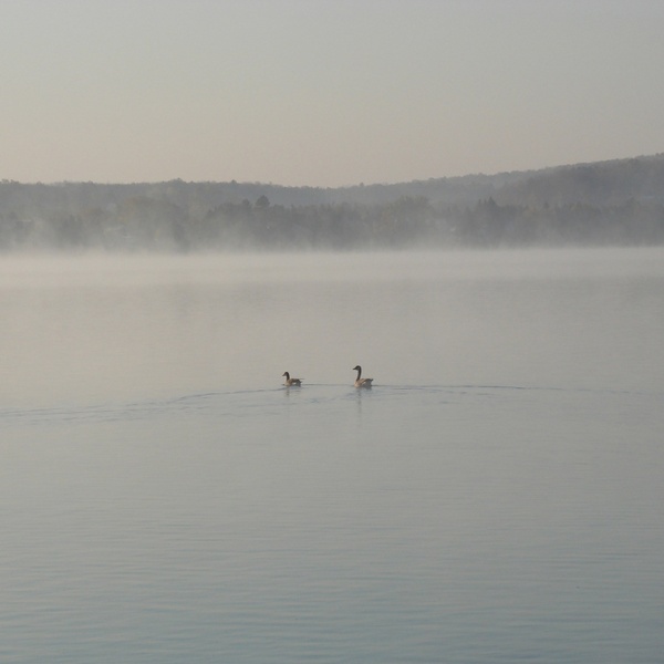 nature morning lake michigan