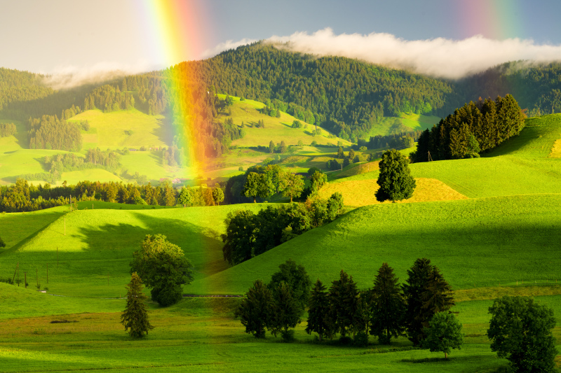 nature picture backdrop elegant rainbow grassland  