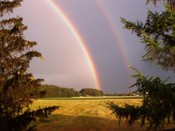 nature rainbow double rainbow