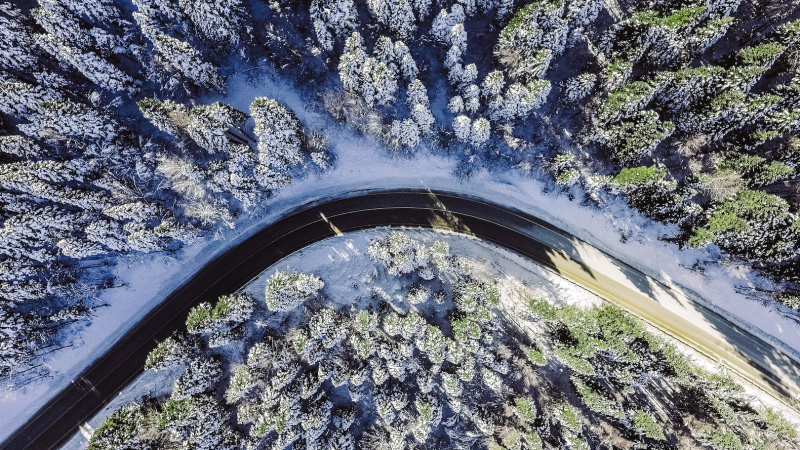 nature scenery picture curvy road forest high view
