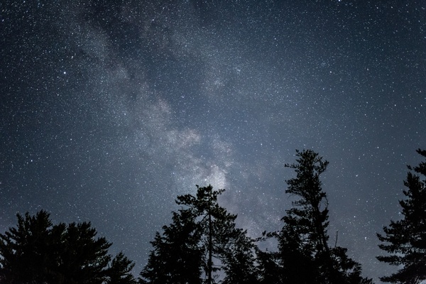 nature stars milky way night galaxy astro trees sky