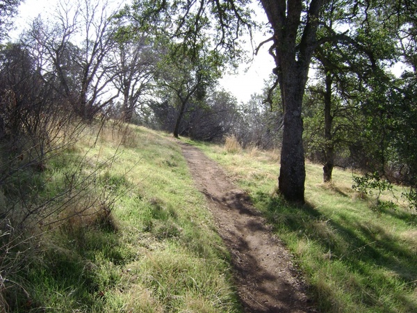 nature trail 1