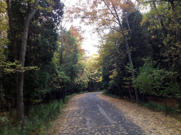 nature trail at harrington beach state park wisconsin
