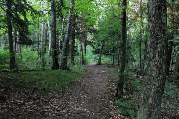 nature trail at point beach state park wisconsin 