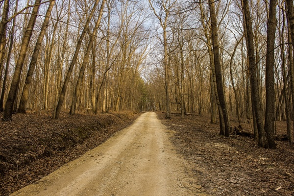 nature trail at yellow river state forest iowa 