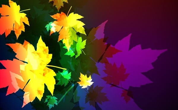 autumn background dark multicolored falling maple leaves decor