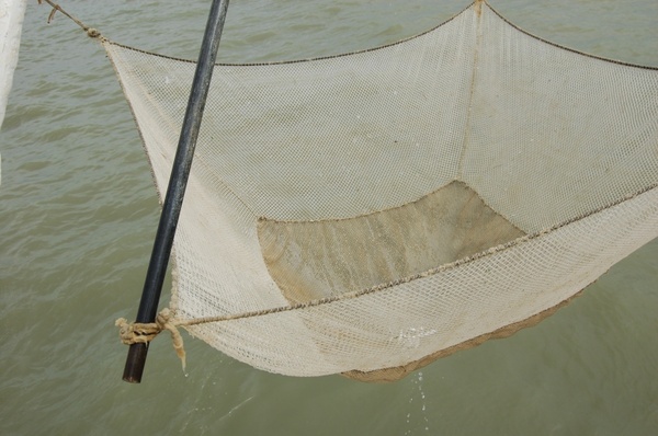 net fishing sea 