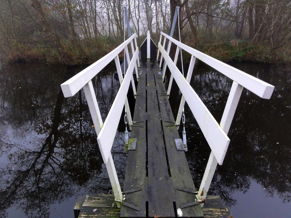 netherlands bridge nature