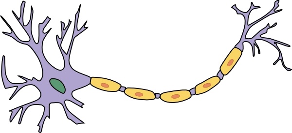 Neuron With Axon clip art