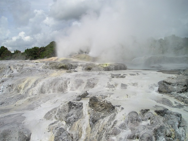 new zealand geysers volcanism
