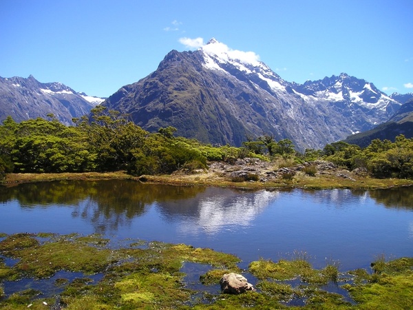 new zealand mountains see