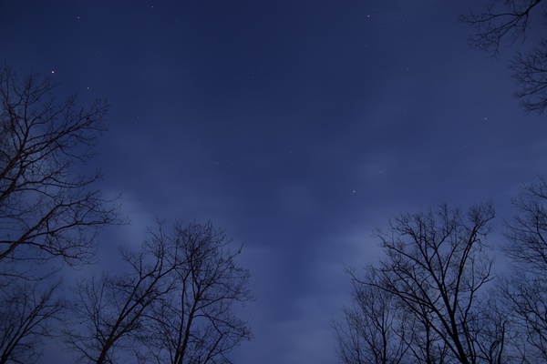 night clouds stars trees 