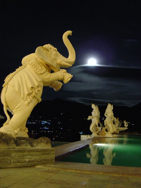 night moon elephant