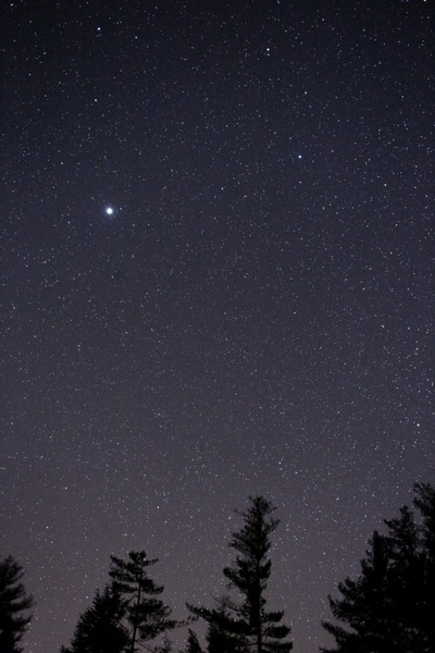 night sky stars trees