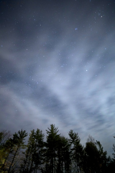 night stars clouds trees 