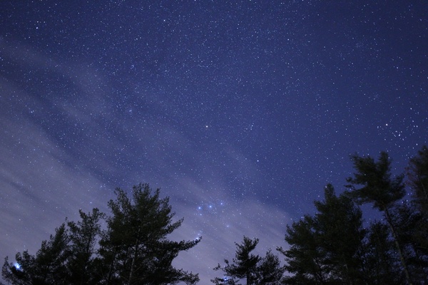 night stars sky trees