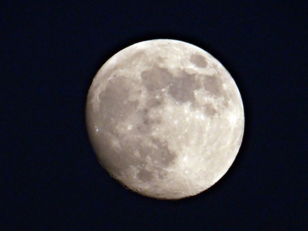 night summer moon