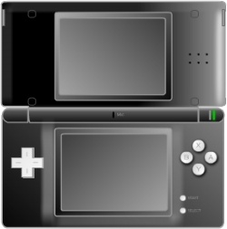 Nintendo DS Black