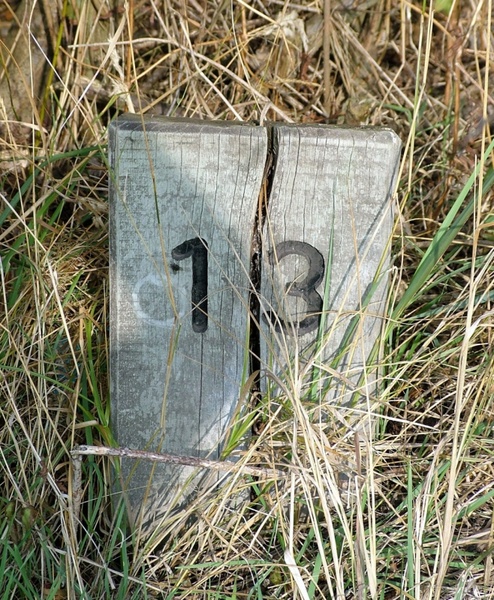 number 13 in wood